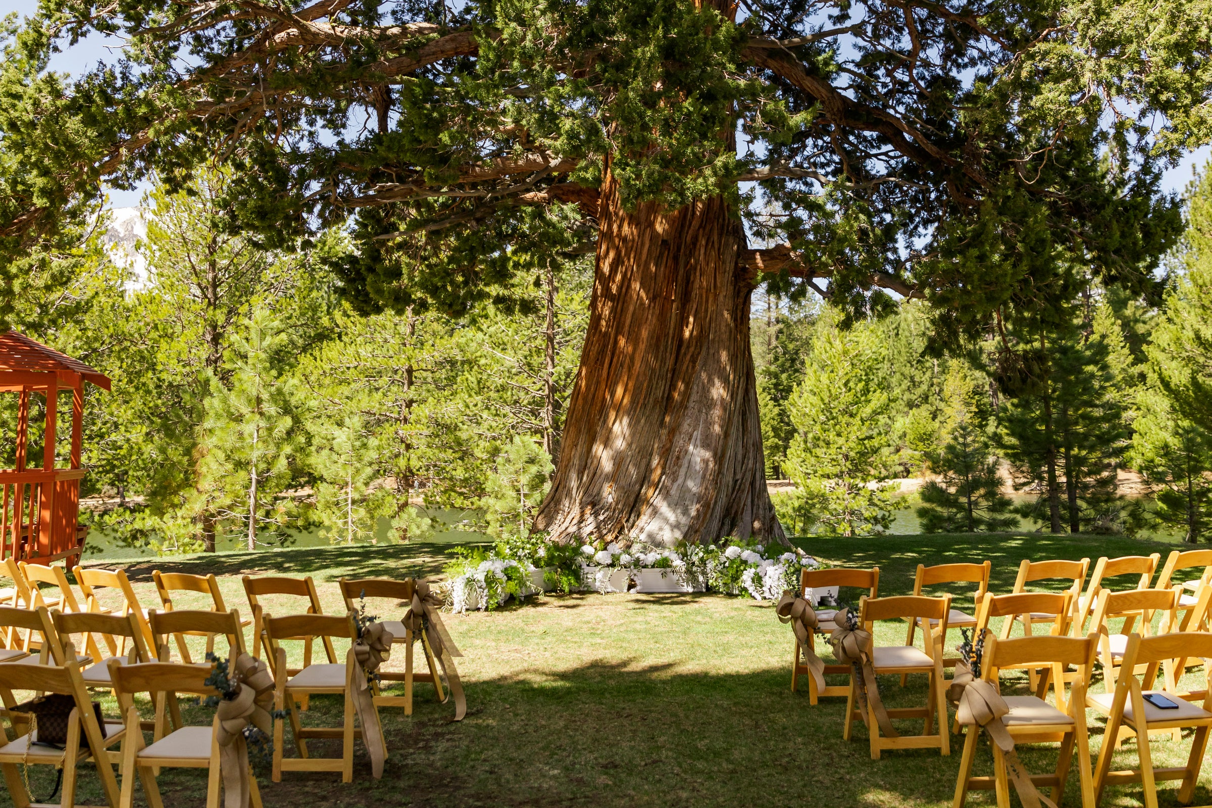 Wedding Venue, Paradise Park